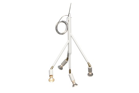 Kvist 4 armar - Örsjö - bild