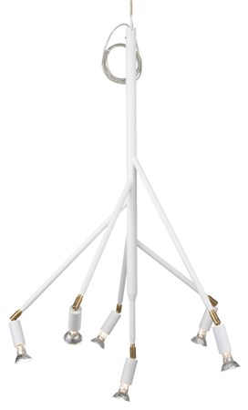 Kvist 6 armar - Örsjö - bild