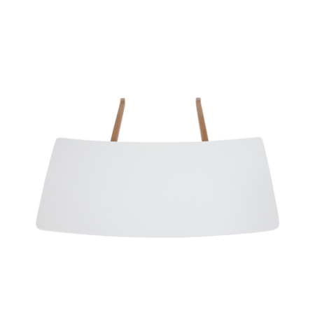 Bild på Iläggsskiva