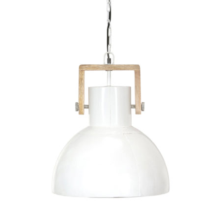 Bild på ASHBY Taklampa Singel Vit H45 från PR Home