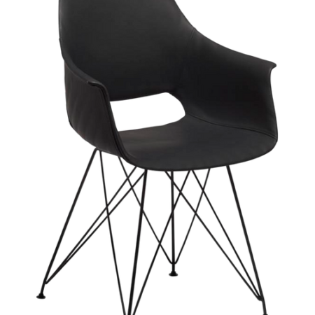 Bild på Dining Chair Elvis