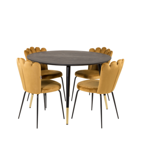 Bild på Matgrupp Doris med Matstol Limhamn - Furniture Fashion