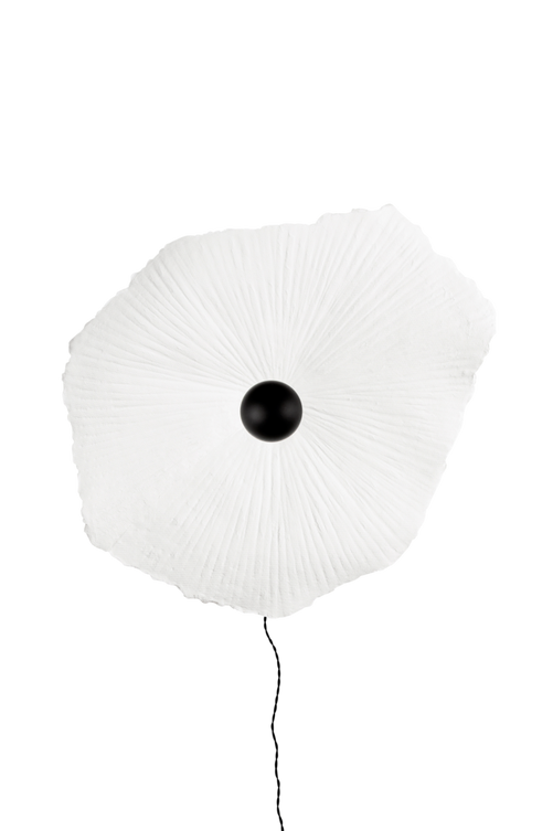 ell_1644839-01_Fs Bild på Plafond / Vägglampa Tropez 80 - Globen Lighting