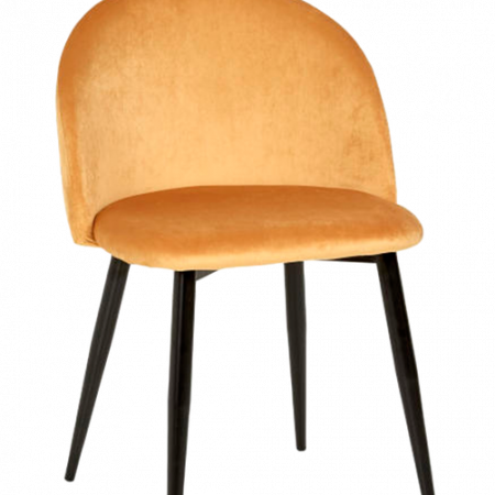 Bild på Stol Darling