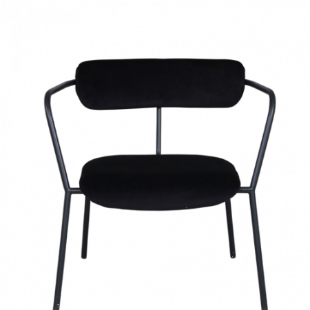 Bild på Fåtölj Duffy - Venture Home