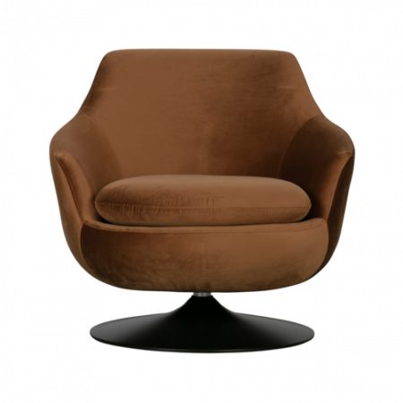 Bild på Fåtölj Jada