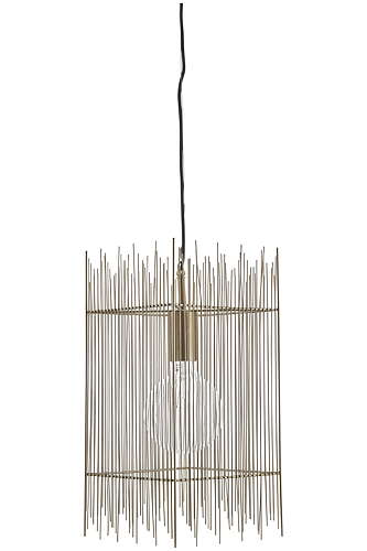 30309510-origpic-ebd0d6