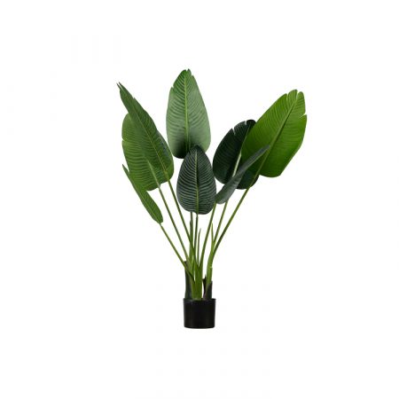 Bild på STRELITZIA Konstväxt 108cm från WOOOD