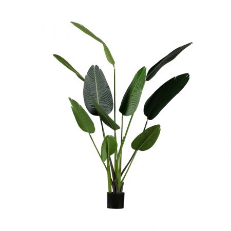 Bild på STRELITZIA Konstväxt 164cm från WOOOD