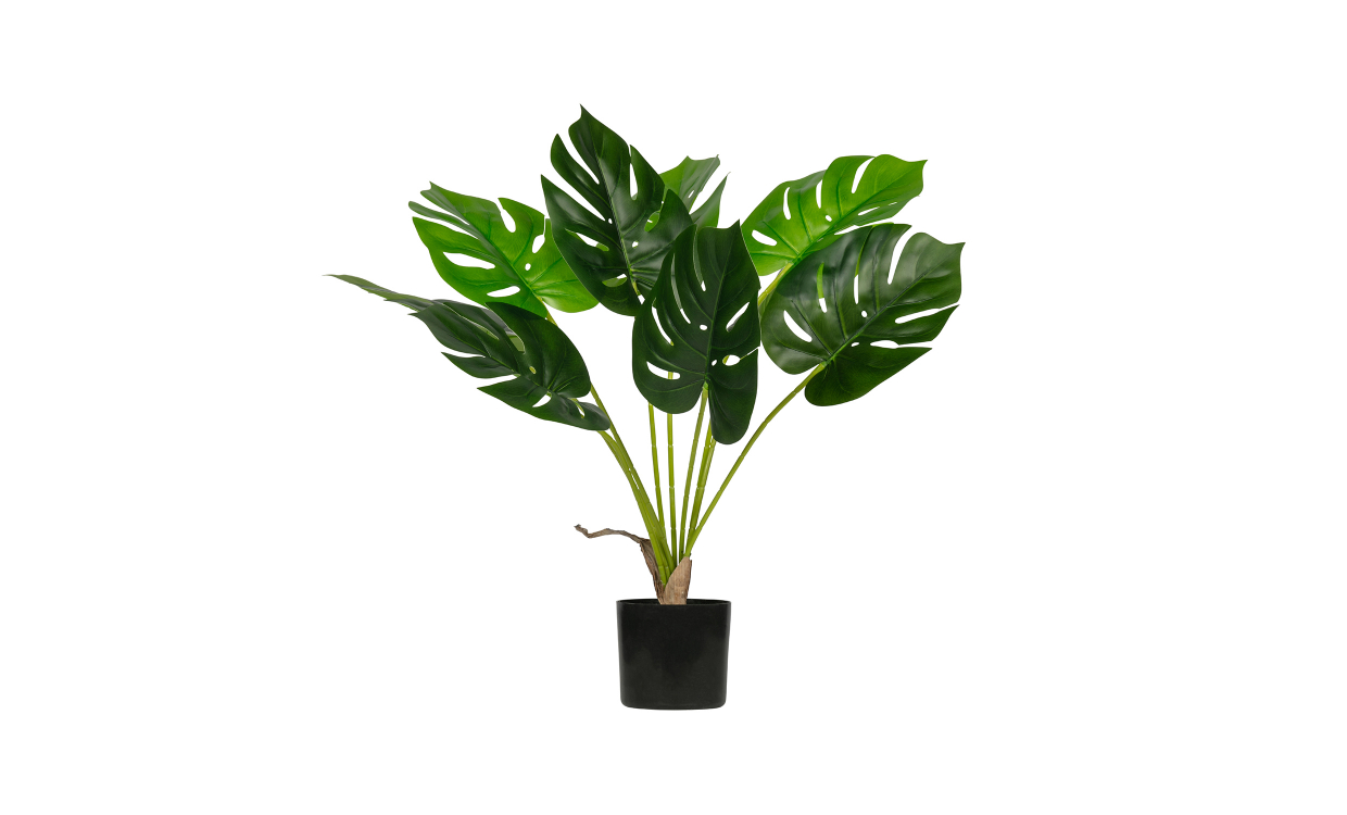 375133-G Bild på MONSTERA Konstväxt 70cm från WOOOD