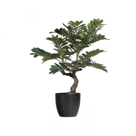 Bild på ZAMIA Konstväxt 76cm från WOOOD