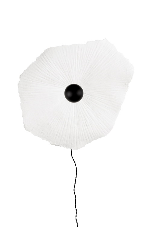 ell_1644831-01_Fs Bild på Plafond / Vägglampa Tropez 60 - Globen Lighting