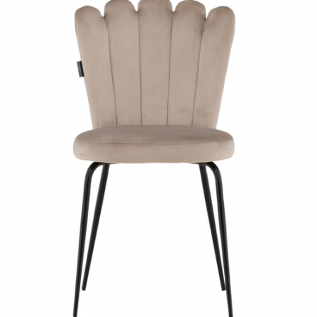 Bild på Matstol Limhamn 2-pack - Furniture Fashion