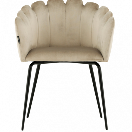 Bild på Matstol Limhamn - Furniture Fashion