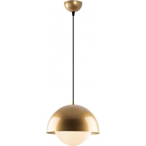 Shark taklampa 11029 - Guld - Pendellampor