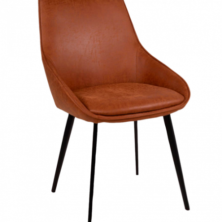 Bild på Matstol Louis