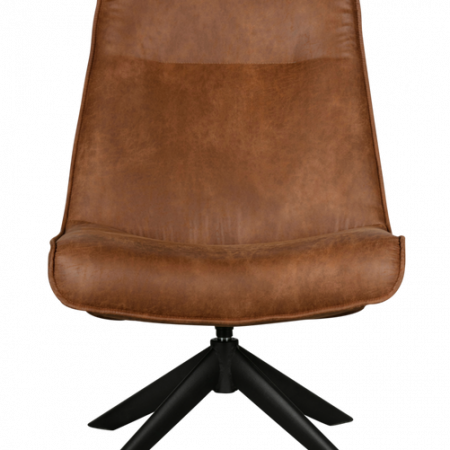 Bild på Fåtölj Skyler