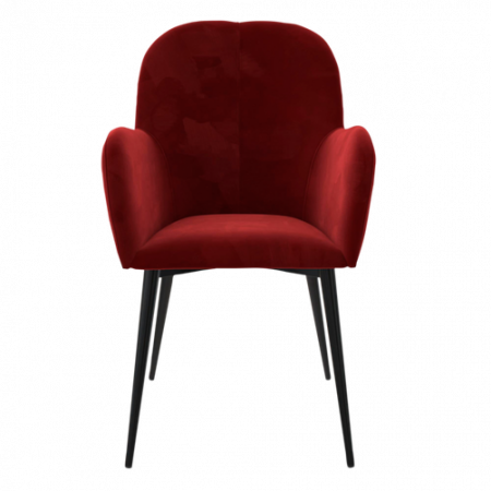 Bild på Fåtölj Fitz - Queer Eye