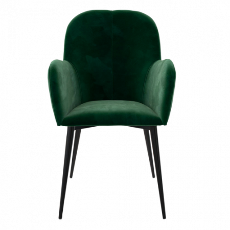 Bild på Fåtölj Fitz - Queer Eye