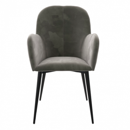 Bild på Fåtölj Fitz - Queer Eye