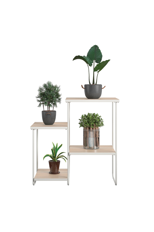 hom_1719821-01_Fs Bild på Piedestal Dante - Queer Eye