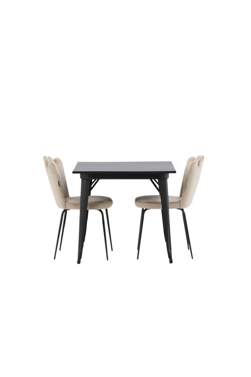 hom_1722606-01_Fs Bild på Matgrupp Tempe med 2st matstolar Limhamn - Venture Home