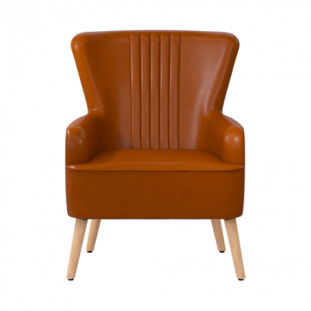 Bild på Fåtölj Wynn - Queer Eye